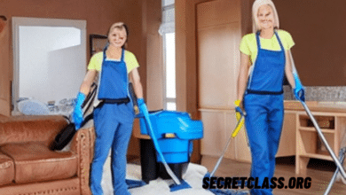 Remote Home Cleaning Business