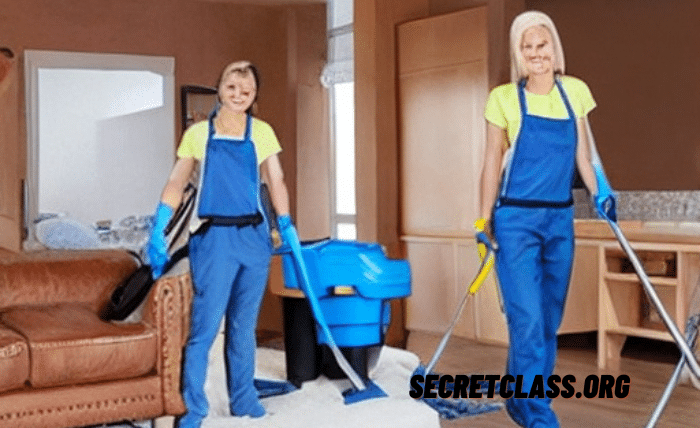 Remote Home Cleaning Business