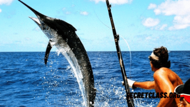 Tiefseefischen Halbtagesabenteuer Von Punta Cana