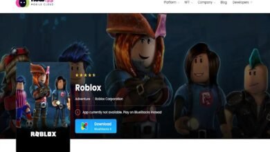 now.gg roblox login