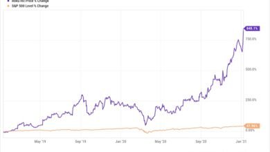 roku stock forecast 2030